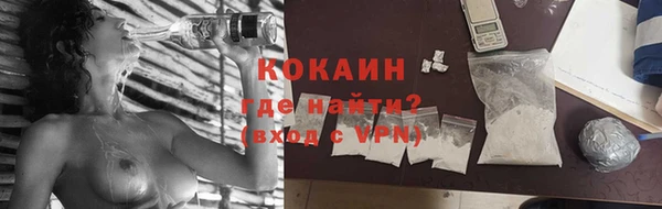 прущий лед Новозыбков