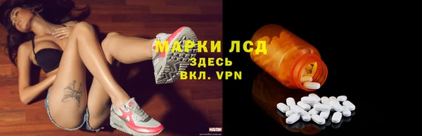 PSILOCYBIN Новодвинск