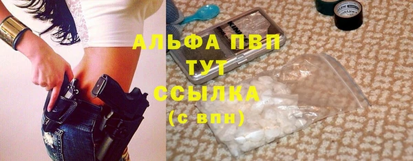 прущий лед Новозыбков