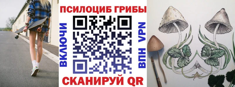 что такое наркотик  Приволжск  Галлюциногенные грибы мицелий 